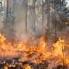 Incêndio atinge fazenda de atriz em Minas Gerais